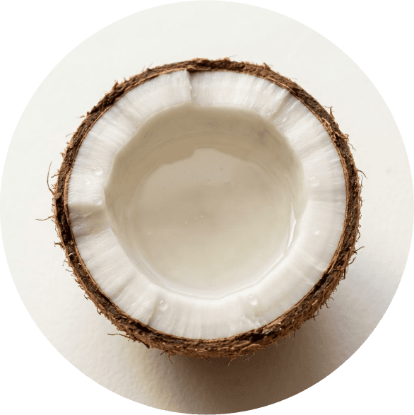 Coconut