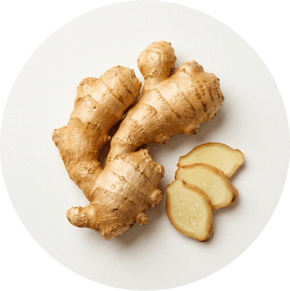 Ginger