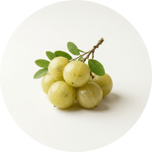 Indian Gooseberry