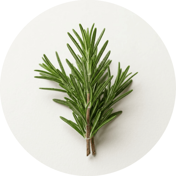 Rosemary